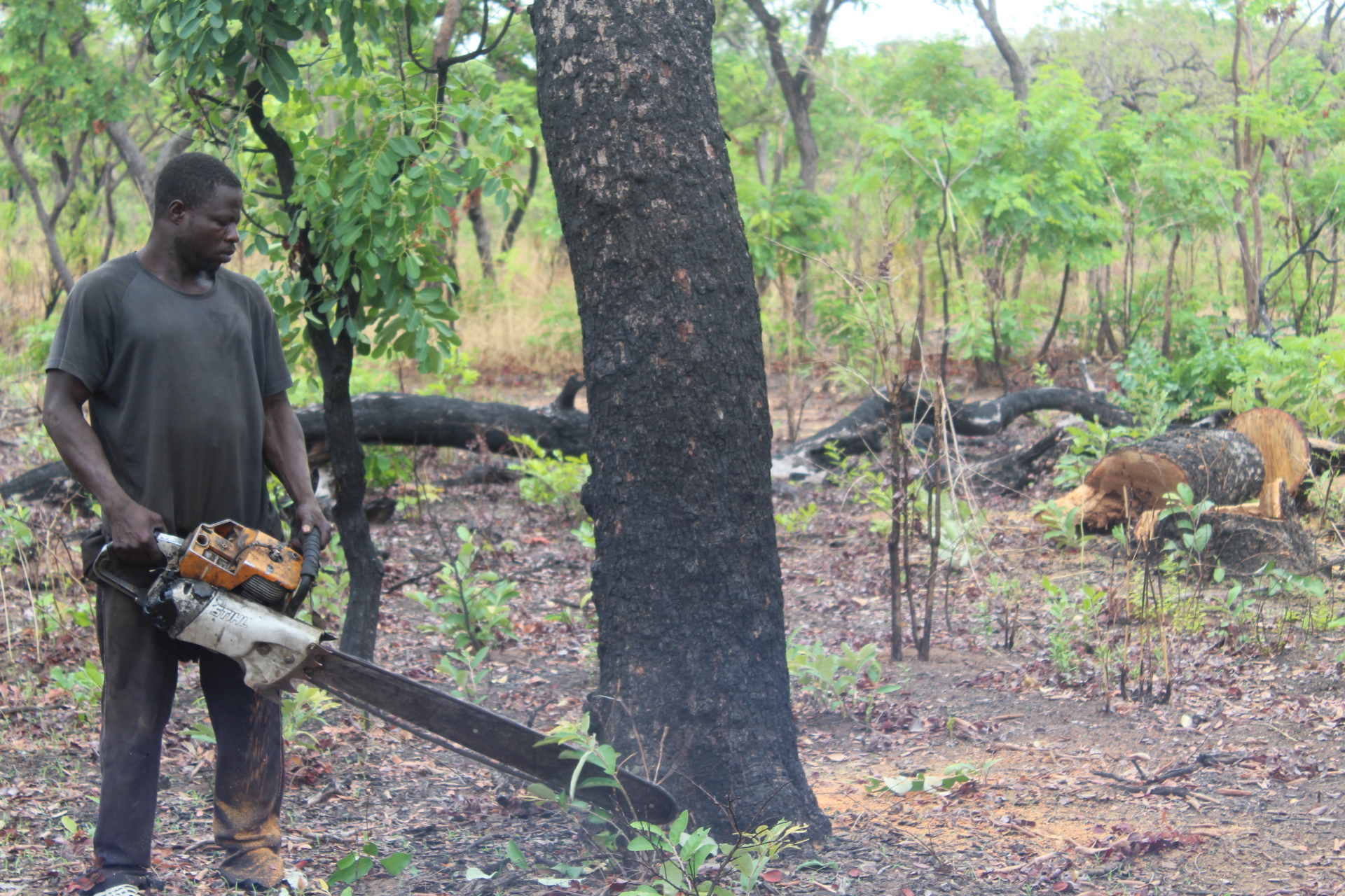 Mapping Charcoal Production Sites